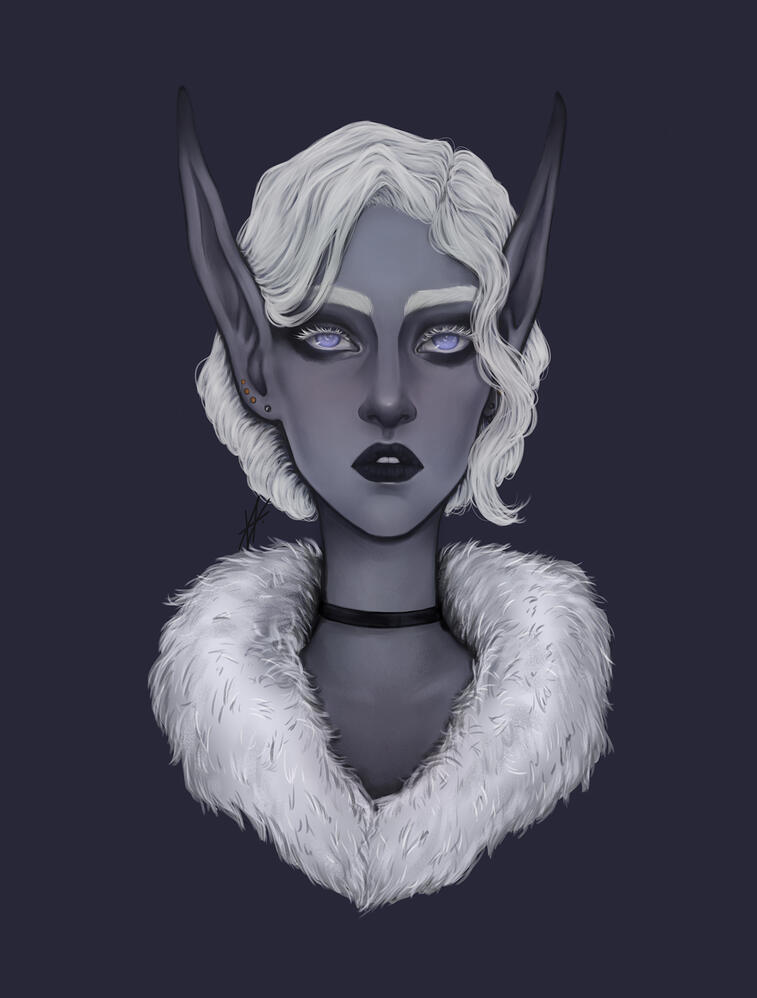 void elf portrait - lady anariett